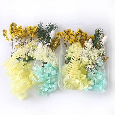 1 kutija Prirodne prave suhe biljke cvijeća Uradi sam Okvir od epoksidne smole Materijali za utiskivanje ventilatora Aromaterapija Izrada svijeća Dekoracija doma