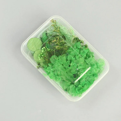 1 kutija Prirodne prave suhe biljke cvijeća Uradi sam Okvir od epoksidne smole Materijali za utiskivanje ventilatora Aromaterapija Izrada svijeća Dekoracija doma