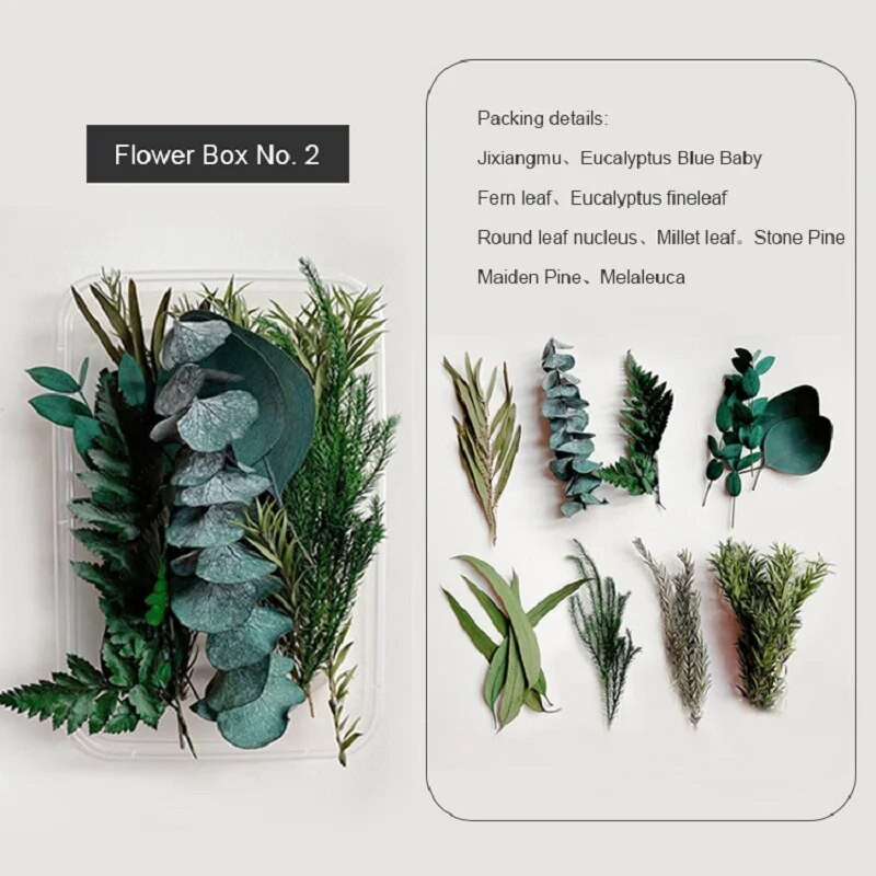 1 kutija Prirodne prave suhe biljke cvijeća Uradi sam Okvir od epoksidne smole Materijali za utiskivanje ventilatora Aromaterapija Izrada svijeća Dekoracija doma