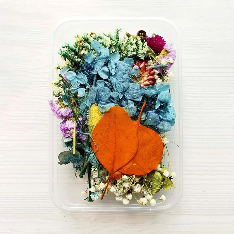 1 kastīte Žāvēti ziedi Materiāls DIY Sveces Pelējuma pušķis Garland Rokdarbu gatavošana Ar epoksīdsveķiem Amatniecība Dabiski kaltēti ziedi Nejauši