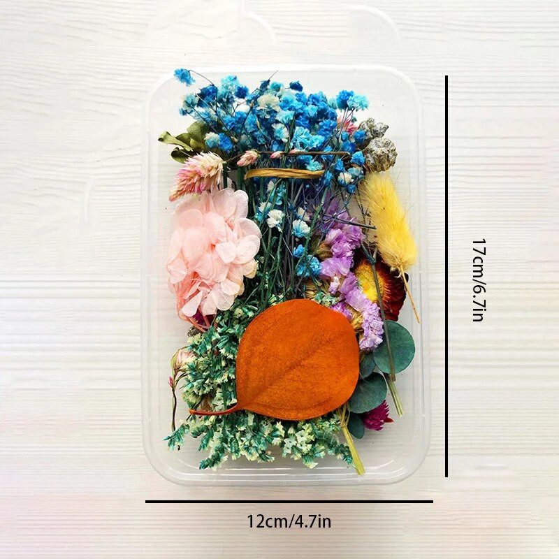 1 kastīte Žāvēti ziedi Materiāls DIY Sveces Pelējuma pušķis Garland Rokdarbu gatavošana Ar epoksīdsveķiem Amatniecība Dabiski kaltēti ziedi Nejauši