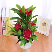 1kom Bonsai Stolne biljke U saksiji Kućna soba Stol Kućni ured Dekoracija za zabavu Umjetno cvijeće Dekoracije Ornament