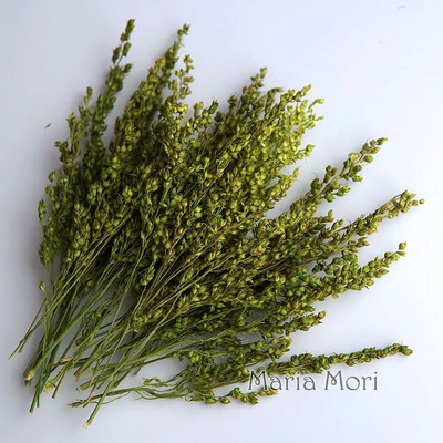 Link za stalne kupce Umjetno cvijeće Izbijeljeni i obojeni materijali Ručne izrade Smola Svijeće za aromaterapiju