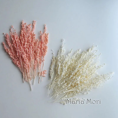 Link za stalne kupce Umjetno cvijeće Izbijeljeni i obojeni materijali Ručne izrade Smola Svijeće za aromaterapiju