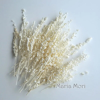 Link za stalne kupce Umjetno cvijeće Izbijeljeni i obojeni materijali Ručne izrade Smola Svijeće za aromaterapiju