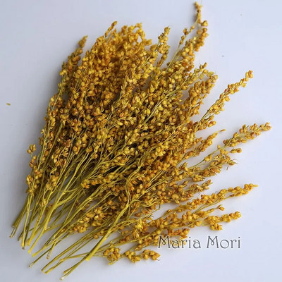 Link za stalne kupce Umjetno cvijeće Izbijeljeni i obojeni materijali Ručne izrade Smola Svijeće za aromaterapiju