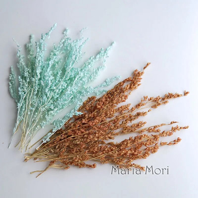 Link za stalne kupce Umjetno cvijeće Izbijeljeni i obojeni materijali Ručne izrade Smola Svijeće za aromaterapiju