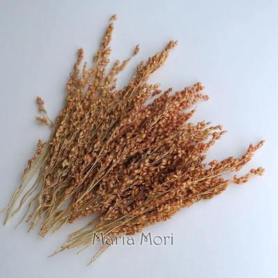 Link za stalne kupce Umjetno cvijeće Izbijeljeni i obojeni materijali Ručne izrade Smola Svijeće za aromaterapiju