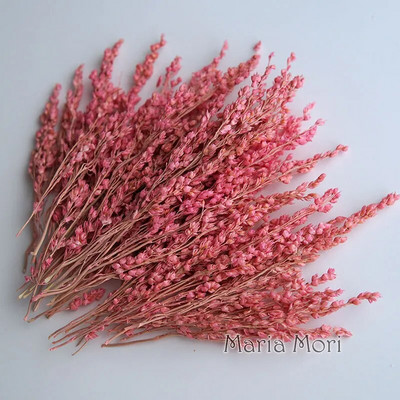 Link za stalne kupce Umjetno cvijeće Izbijeljeni i obojeni materijali Ručne izrade Smola Svijeće za aromaterapiju