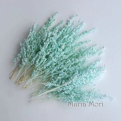 Link za stalne kupce Umjetno cvijeće Izbijeljeni i obojeni materijali Ručne izrade Smola Svijeće za aromaterapiju