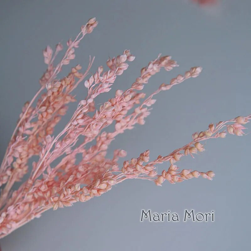 Link za stalne kupce Umjetno cvijeće Izbijeljeni i obojeni materijali Ručne izrade Smola Svijeće za aromaterapiju