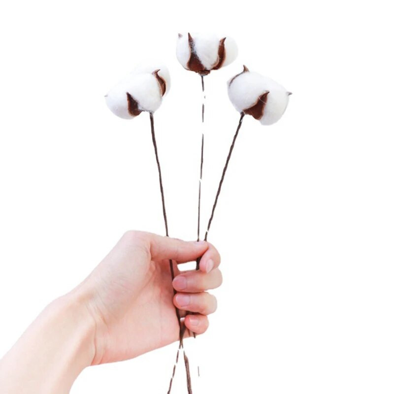 Prirodni osušeni cvijet pamuka Bijeli ukrasi za dom Umjetno cvijeće Grana vjenčanja Buket za djeveruše Dekor Lažno bijelo cvijeće