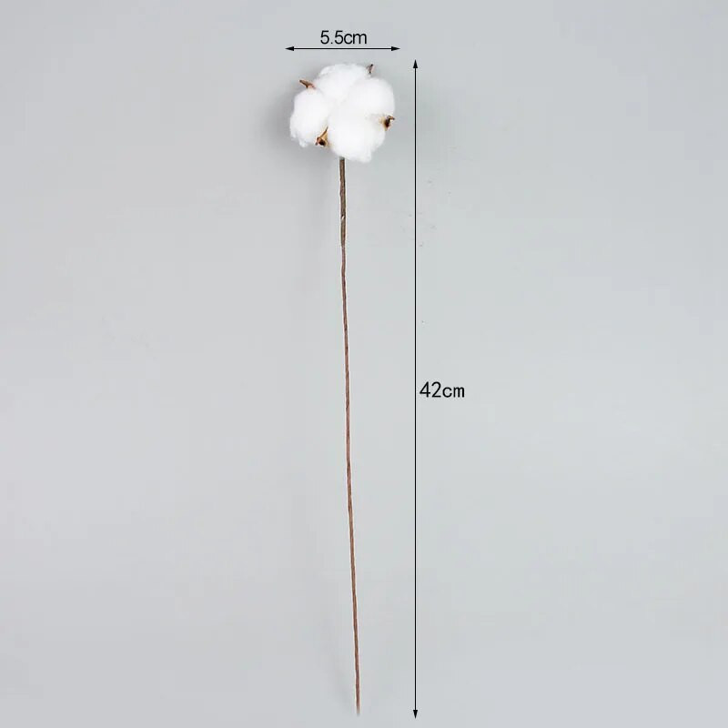 Prirodni osušeni cvijet pamuka Bijeli ukrasi za dom Umjetno cvijeće Grana vjenčanja Buket za djeveruše Dekor Lažno bijelo cvijeće