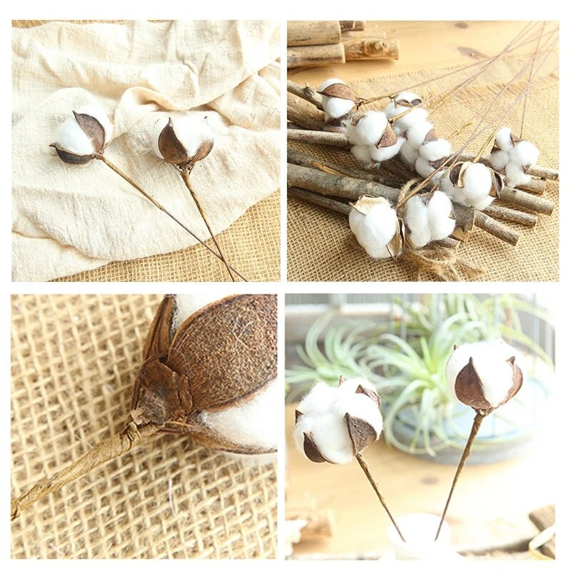 Prirodni osušeni cvijet pamuka Bijeli ukrasi za dom Umjetno cvijeće Grana vjenčanja Buket za djeveruše Dekor Lažno bijelo cvijeće