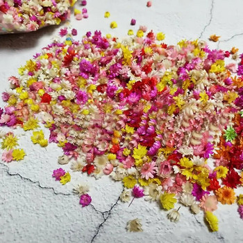 Направи си сам декорация от изкуствени цветя 100 бр. Глава от изсушени цветя Многоцветна глава за корона Сватбен гирлянд Ръчно изработен скрапбукинг занаят