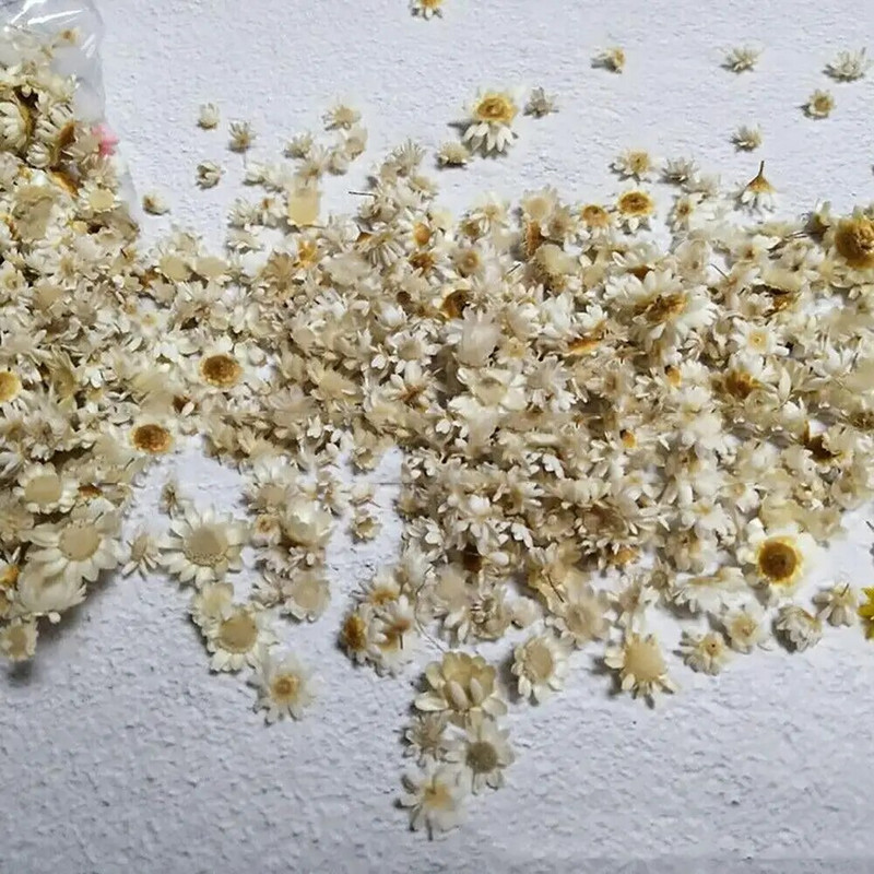 DIY mākslīgo ziedu rotājumi, 100 gab., kaltētu ziedu galviņa, daudzkrāsaina galviņa vainaga kāzu vītnei, ar rokām darināta scrapbooking amatniecība