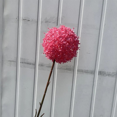 75 cm velika grana Umjetni šareni luk Svadbena dvorana Cvjetni aranžman Dekoracija Kućna vaza Maslačak Lažni cvjetni aranžman