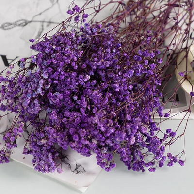 Očuvano prirodno osušeno cvijeće Gypsophila paniculata Buket Vjenčane dekoracije Suho cvijeće u rasutom stanju za uređenje doma Rekvizit za fotografije
