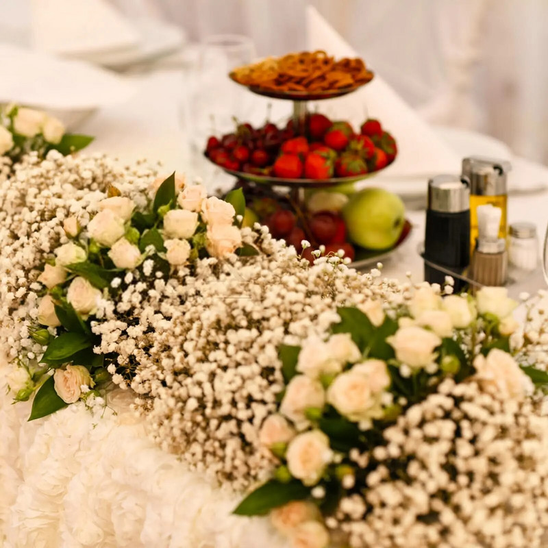 Očuvano prirodno osušeno cvijeće Gypsophila paniculata Buket Vjenčane dekoracije Suho cvijeće u rasutom stanju za uređenje doma Rekvizit za fotografije