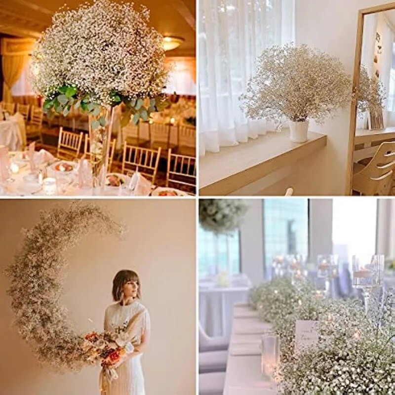 Očuvano prirodno osušeno cvijeće Gypsophila paniculata Buket Vjenčane dekoracije Suho cvijeće u rasutom stanju za uređenje doma Rekvizit za fotografije