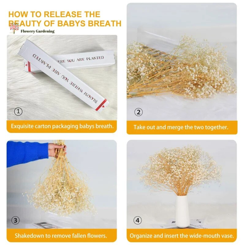 Očuvano prirodno osušeno cvijeće Gypsophila paniculata Buket Vjenčane dekoracije Suho cvijeće u rasutom stanju za uređenje doma Rekvizit za fotografije