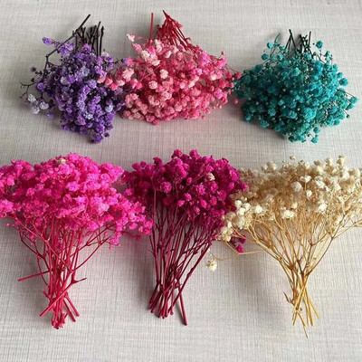 5 ~ 12 CM / 12 buc Respirație uscată pentru bebeluși, ramură de flori de gypsophila, mini floare conservată pentru respirația bebelușului pentru decorarea cardurilor de invitații