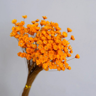 Kuivatatud lilled Mini Daisy Dekoratiivne Väike täht lillekimp Looduslikud taimed Lillede säilitamine pulmadeks Kodukaunistus 30/50 tk