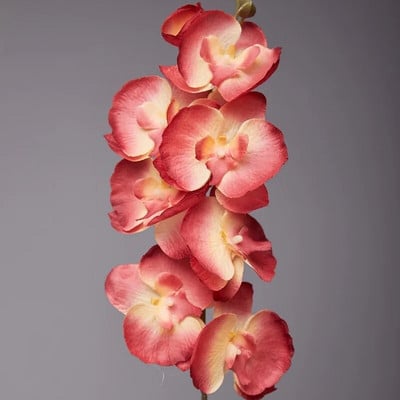 2PC umjetne svile Bijeli cvjetovi orhideje Visokokvalitetni leptir Phalaenopsis Lažni cvijet za vjenčanje Poklon za kućne zabave