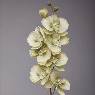 2PC umjetne svile Bijeli cvjetovi orhideje Visokokvalitetni leptir Phalaenopsis Lažni cvijet za vjenčanje Poklon za kućne zabave