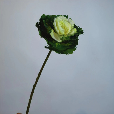 40 cm umjetno zeleno povrće kineskog kupusa, lažni list Pamphrey, lažna cvjetna grana, ukras za kućni vrt