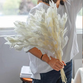 5 kom sušene bijele naranče mandarine Banyan talijanski ruscus listovi, prirodna biljka pravog eukaliptusa za dom, vjenčani buket cvijeća