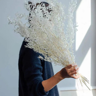 5 kom sušene bijele naranče mandarine Banyan talijanski ruscus listovi, prirodna biljka pravog eukaliptusa za dom, vjenčani buket cvijeća