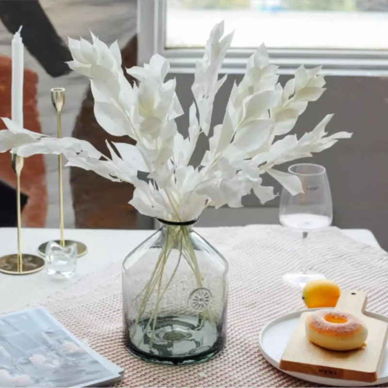 5 kom sušene bijele naranče mandarine Banyan talijanski ruscus listovi, prirodna biljka pravog eukaliptusa za dom, vjenčani buket cvijeća