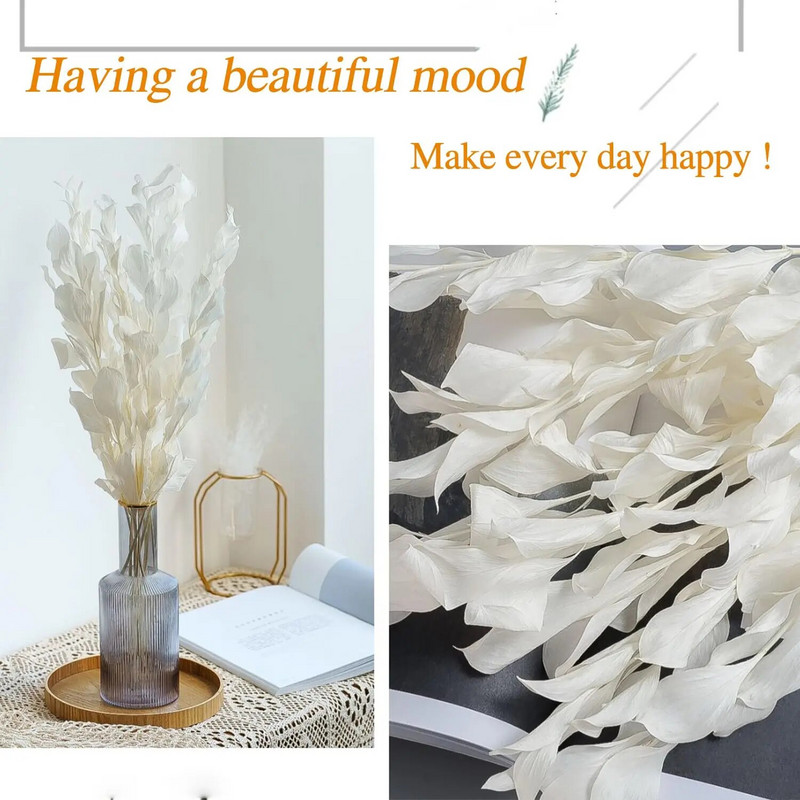 5 kom sušene bijele naranče mandarine Banyan talijanski ruscus listovi, prirodna biljka pravog eukaliptusa za dom, vjenčani buket cvijeća