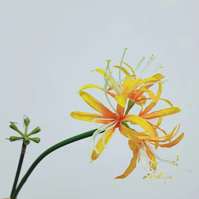 26" mesterséges hosszú virágok Lycoris Radiata pókliliom otthoni kerti csokor esküvői asztalhoz Középső virág váza díszítéshez