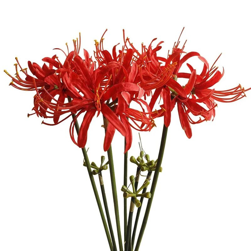 26" mesterséges hosszú virágok Lycoris Radiata pókliliom otthoni kerti csokor esküvői asztalhoz Középső virág váza díszítéshez