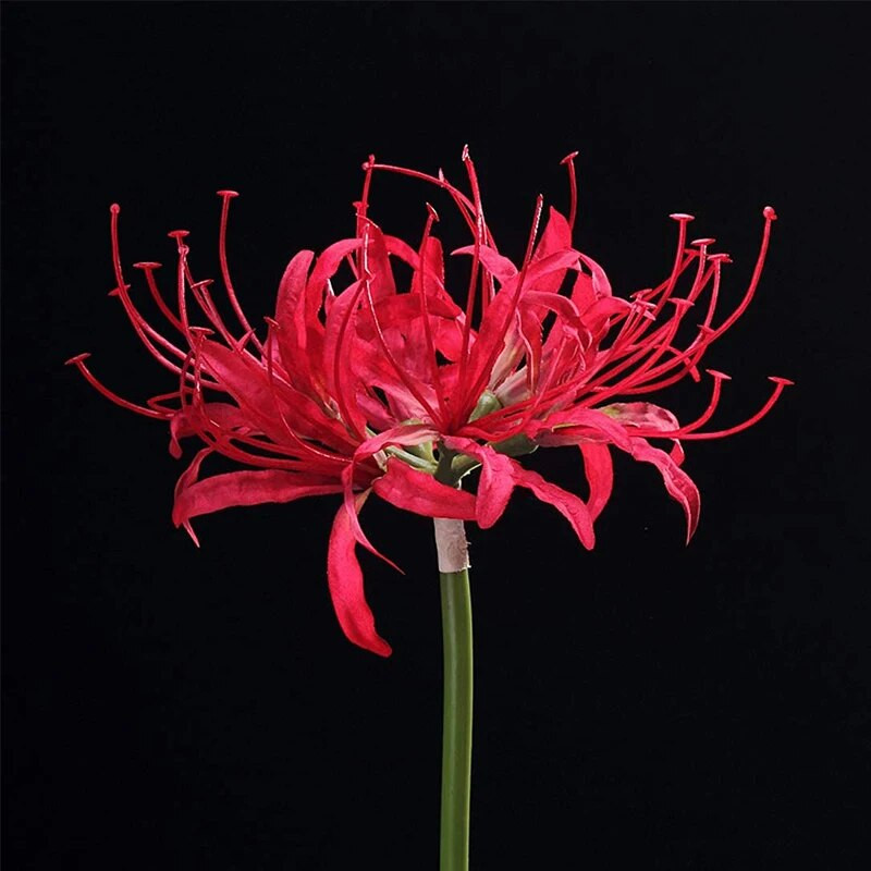 26" mesterséges hosszú virágok Lycoris Radiata pókliliom otthoni kerti csokor esküvői asztalhoz Középső virág váza díszítéshez