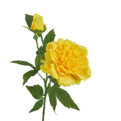 2 galviņas Mākslīgie ziedi Mitrinoša peonija Īsta pieskāriena viltus ziedi Luksusa mājas dekorēšana ballītes kāzu ziedu kompozīcijas peonijas