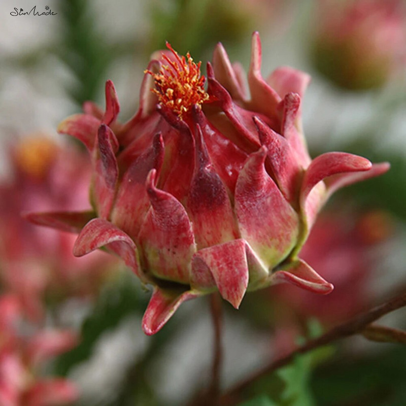 SunMade Luksuzni 2-Head Protea Cynaroides Grana Vintage lažno cvijeće Jesenski ukrasi Home Hotel Decor Fleurs Artificiais Vjenčanje