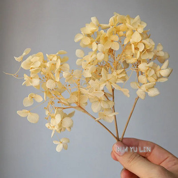 Anna Hydrangea Dry Flower Conserved Flower DIY σκουλαρίκια και αρωματικά κεριά Υλικό για διακόσμηση σπιτιού από ρητίνη Gutta Percha