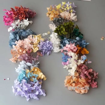 Anna Hydrangea Dry Flower Conserved Flower DIY σκουλαρίκια και αρωματικά κεριά Υλικό για διακόσμηση σπιτιού από ρητίνη Gutta Percha