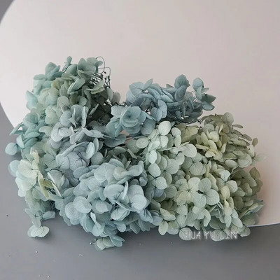 Annas hortenzijas sauso ziedu konservētu ziedu DIY auskari un aromātiskās sveces materiāls gutaperčas sveķu mājas dekorēšanai