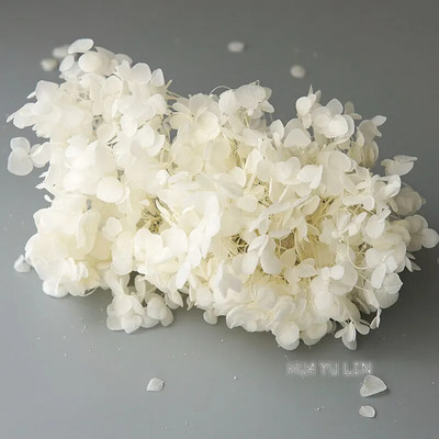 Annas hortenzijas sauso ziedu konservētu ziedu DIY auskari un aromātiskās sveces materiāls gutaperčas sveķu mājas dekorēšanai