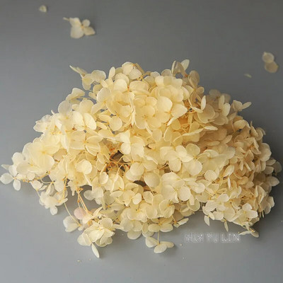 Annas hortenzijas sauso ziedu konservētu ziedu DIY auskari un aromātiskās sveces materiāls gutaperčas sveķu mājas dekorēšanai