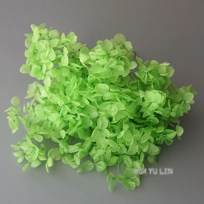 Annas hortenzijas sauso ziedu konservētu ziedu DIY auskari un aromātiskās sveces materiāls gutaperčas sveķu mājas dekorēšanai