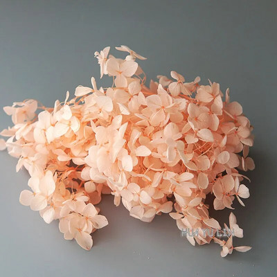 Annas hortenzijas sauso ziedu konservētu ziedu DIY auskari un aromātiskās sveces materiāls gutaperčas sveķu mājas dekorēšanai