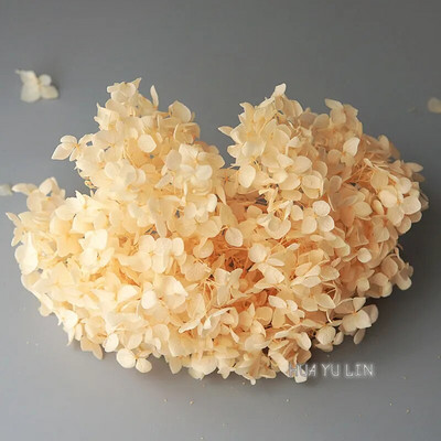 Annas hortenzijas sauso ziedu konservētu ziedu DIY auskari un aromātiskās sveces materiāls gutaperčas sveķu mājas dekorēšanai