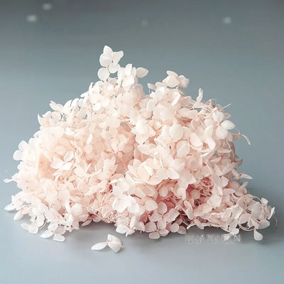 Annas hortenzijas sauso ziedu konservētu ziedu DIY auskari un aromātiskās sveces materiāls gutaperčas sveķu mājas dekorēšanai