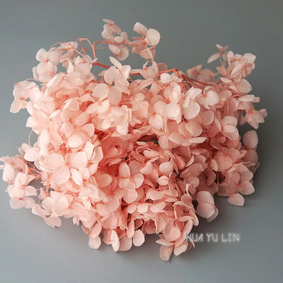 Annas hortenzijas sauso ziedu konservētu ziedu DIY auskari un aromātiskās sveces materiāls gutaperčas sveķu mājas dekorēšanai