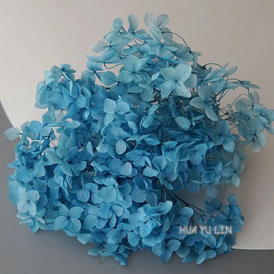 Annas hortenzijas sauso ziedu konservētu ziedu DIY auskari un aromātiskās sveces materiāls gutaperčas sveķu mājas dekorēšanai